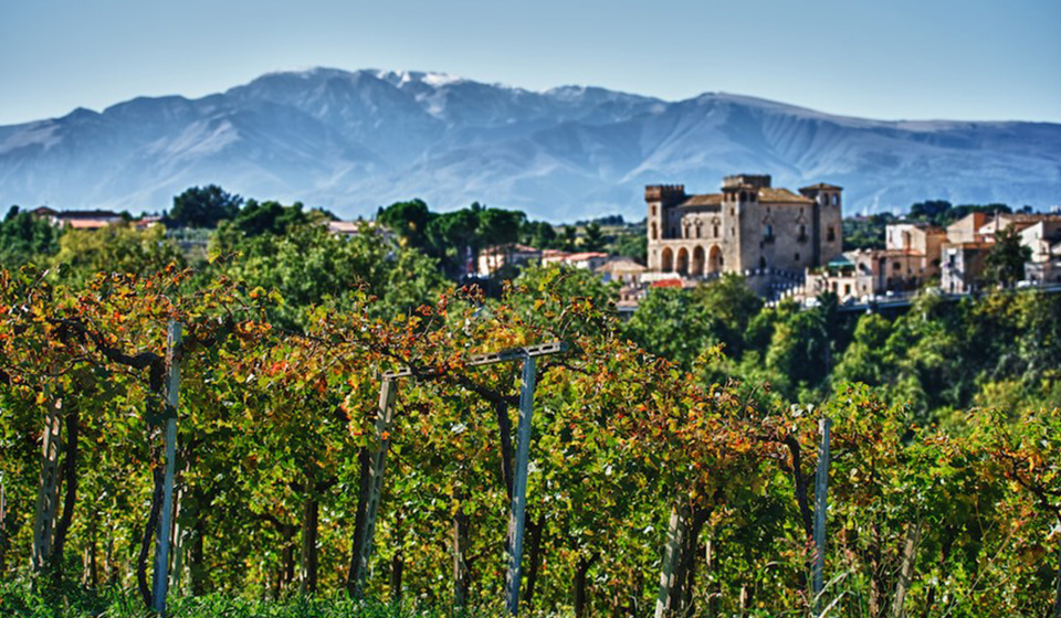 Tenuta Ulisse