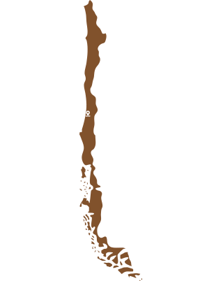 Dos Almas