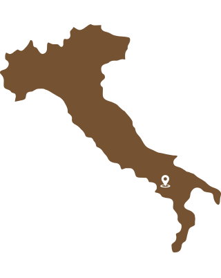 Feudi Di San Gregório