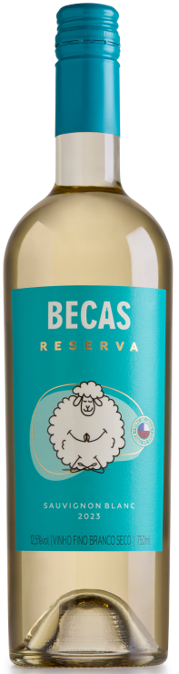 Becas Reserva Sauvignon Blanc